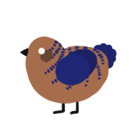 (unnamed), a brown and navy chicken with a half-bar pattern