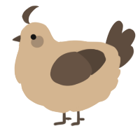 Coffee, a beige and bark chicken