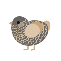 (unnamed), a grey and beige chicken with a lace pattern