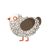 Memories, a white and bark chicken with a double-lace pattern