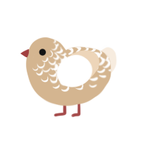 pie, a beige and cream chicken with a half-lace pattern