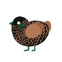 (unnamed), a black and brown chicken with a lace pattern