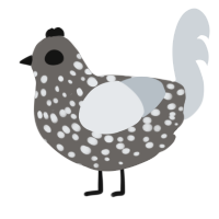 big eye, a grey and mist chicken with a lace pattern