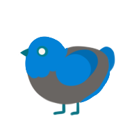 (unnamed), a grey and sapphire chicken with a head pattern
