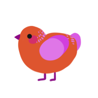 Blood Orange Juice, a vermilion and orchid chicken with a neck-band pattern