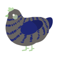 (unnamed), a grey and navy chicken with a bar pattern