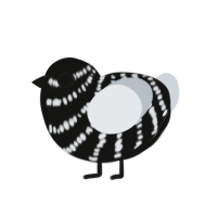 (unnamed), a black and mist chicken with a bar pattern