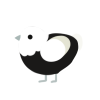 B and W, a sable and white chicken with a head pattern