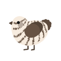 Cream, a cream and bark chicken with a bar pattern