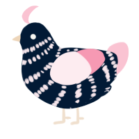 (unnamed), a tumblr and rose chicken with a bar pattern