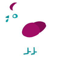 A cream and wine chicken
