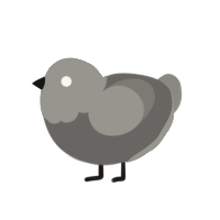 Pocket Lint, a grey and ash chicken with a head pattern