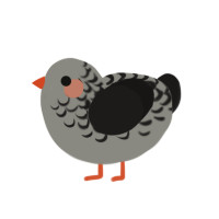 Pigeon, a ash and sable chicken with a half-lace pattern