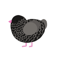 (unnamed), a sable and grey chicken with a lace pattern