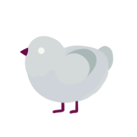 (unnamed), a mist and silver chicken with a head pattern