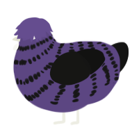 A overcast and black chicken with a bar pattern