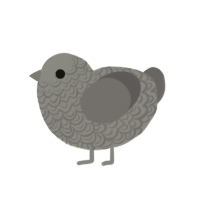 Concrete Slab, a ash and grey chicken with a double-lace pattern
