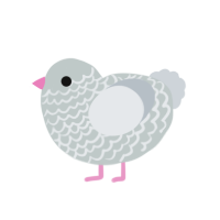 Peaceful, a silver and mist chicken with a lace pattern