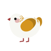 (unnamed), a white and ochre chicken with a neck-band pattern