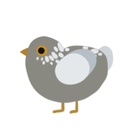 (unnamed), a ash and mist chicken with a neck-speckle pattern