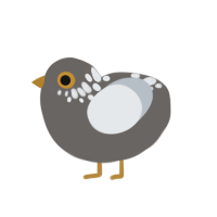 (unnamed), a grey and mist chicken with a neck-speckle pattern