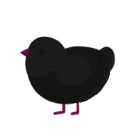 (unnamed), a black and sable chicken with a head pattern