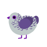 (unnamed), a silver and overcast chicken with a half-lace pattern