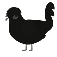 wherein lies-, a black chicken