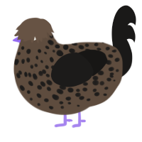 A bark and sable chicken with a speckle pattern