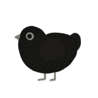 (unnamed), a black and sable chicken with a lace pattern