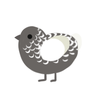 Spikerock, a grey and white chicken with a half-lace pattern