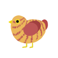 Potato Mine, a honey and red chicken with a bar pattern