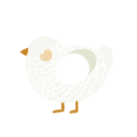 Orange, a white chicken with a lace pattern