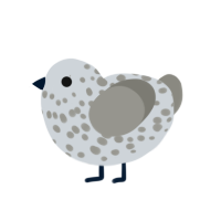 lady swiss cheese, a mist and ash chicken with a speckle pattern