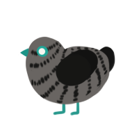 GIR, a grey and black chicken with a bar pattern