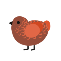 Pumpkin Spice, a russet and vermilion chicken with a half-lace pattern