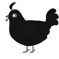 Coo, a black chicken with a head pattern