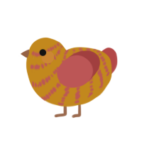 (unnamed), a ochre and red chicken with a bar pattern