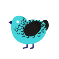 Ice Coolee, a aqua and sable chicken with a half-lace pattern