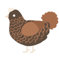 Unknown Henson, a bark and brown chicken with a lace pattern