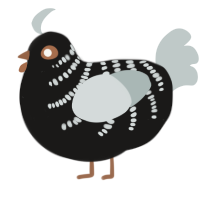 A sable and silver chicken with a half-bar pattern