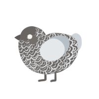 xyx grey, a grey and mist chicken with a double-lace pattern