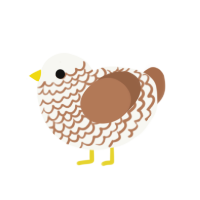 (unnamed), a white and brown chicken with a lace pattern
