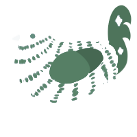 Stellar, a white and leaf chicken with a bar pattern