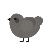 Pebble, a grey chicken with a lace pattern