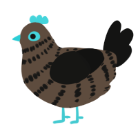 Finnegan, a bark and black chicken with a bar pattern