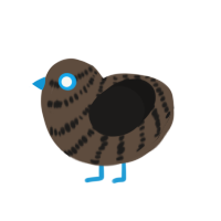 (unnamed), a bark and sable chicken with a bar pattern