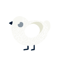 minisisi, a white chicken with a double-lace pattern