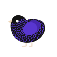 getting close, a black and indigo chicken with a lace pattern