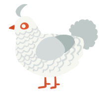 (unnamed), a white and silver chicken with a lace pattern